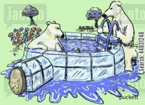 A couple of polar bears enjoy their new swimming pool - a refurbished igloo . . .